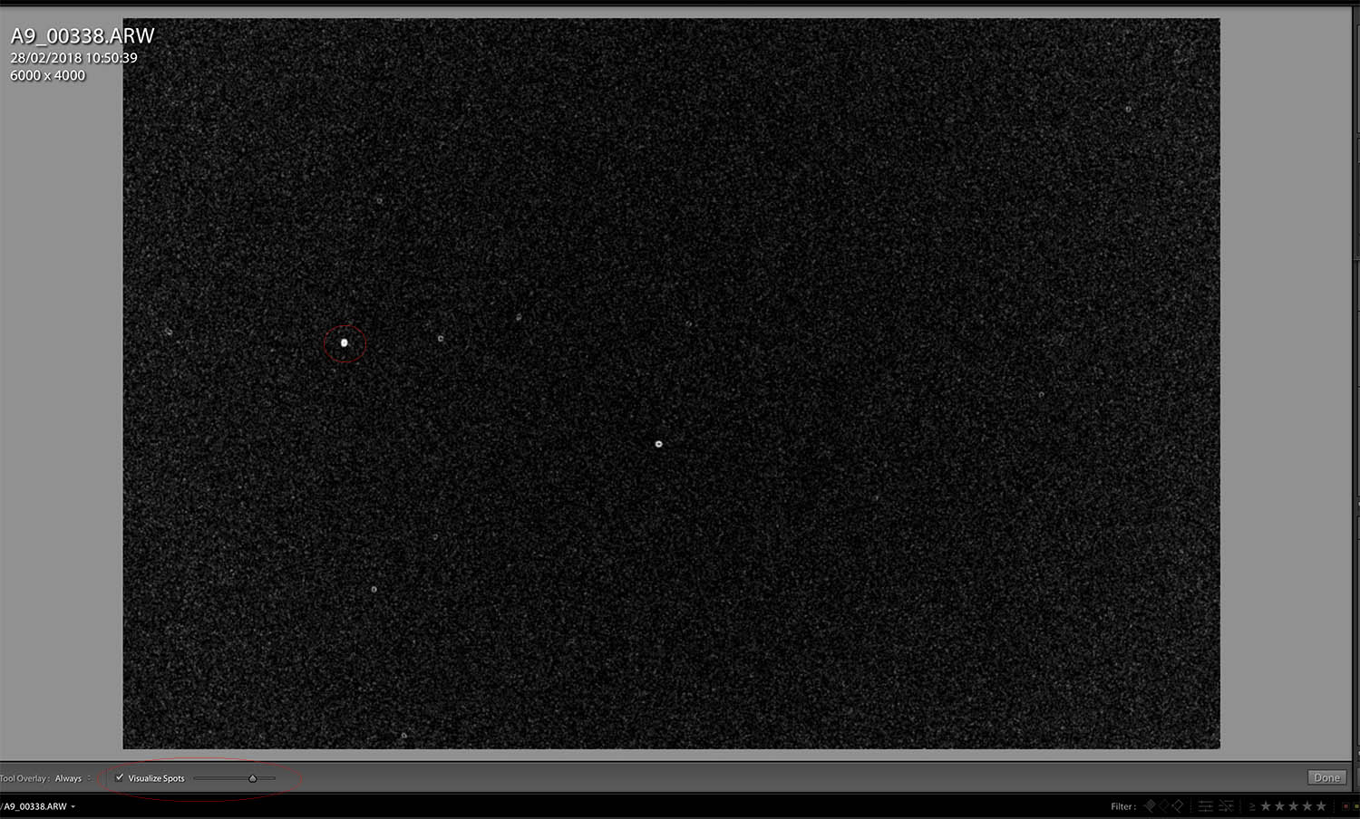 Visualise Spots feature of Lightroom