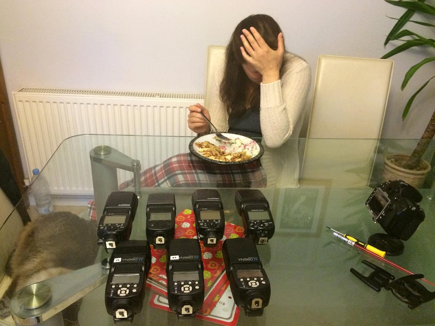 My wife's reaction to me wanting to buy more flashes